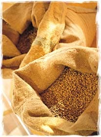bag-o-beans.jpg