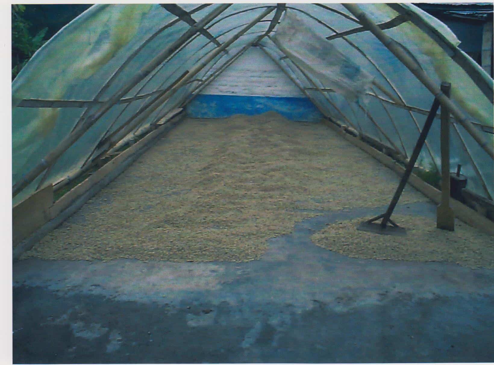 Drying patios with the greenhouse addition to accelerate drying